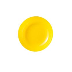 Тарелка глубокая CITRUS 19,5 см