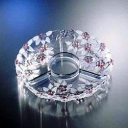 ��������� CARMEN ROSE 320 �� �������