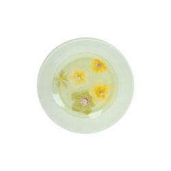 ������� ��������� POEME ANIS 19,5 ��