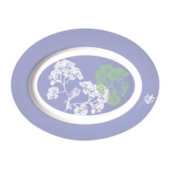 Блюдо PURPLE овальное 35 см