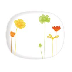 ����� ENCANTA OPAL �������� 35*24 ��