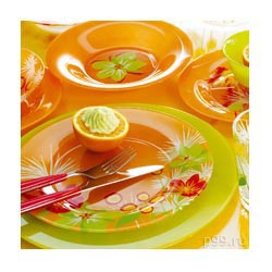 �������� ������  Pop Flowers Orange 38 ��������� + �������� �������