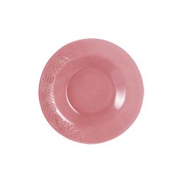 ������� �������� ASTRE PINK 24 ��