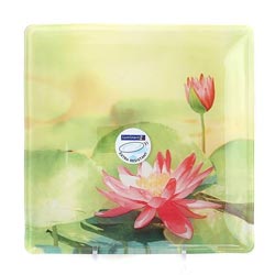 ������� ��������� WATER FLOWER 25,5��
