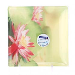������� ��������� WATER FLOWER 18,5��