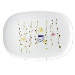 ����� VEGETAL SPIRIT 35��